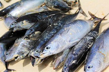 Similar image 10911533