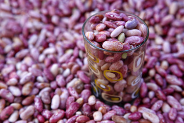 Similar image 10911706