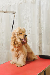 Similar image 10904027