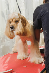 Similar image 10904035