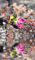 Similar image 10904036