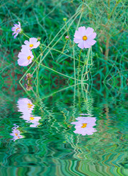 Similar image 10904037