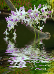 Similar image 10904038