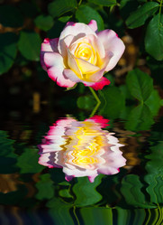 Similar image 10904039