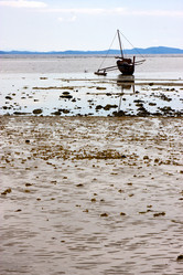 Similar image 10904334