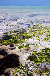 Similar image 10904345