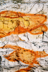 Similar image 10904349