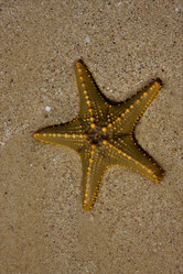 Similar image 10904353