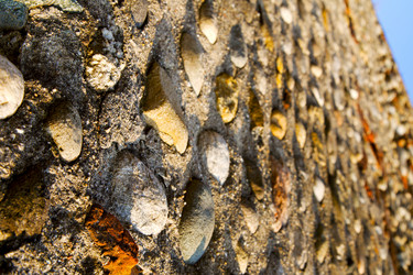 Similar image 10904521