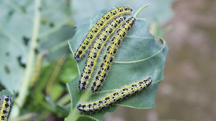 Similar image 10906194