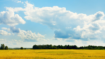 Similar image 10904448