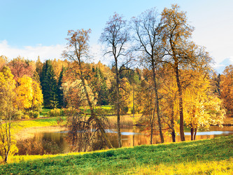 Similar image 10904453