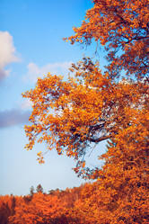 Similar image 10904218