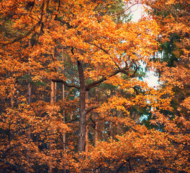 Similar image 10904224