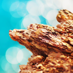 Similar image 10904276