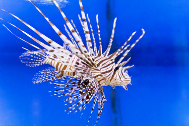 Similar image 10904127