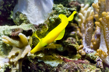 Similar image 10904128