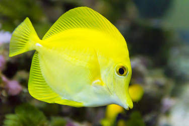 Similar image 10904136