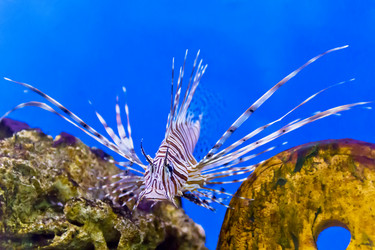 Similar image 10904138