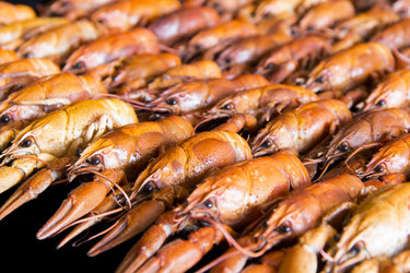 Similar image 10904156