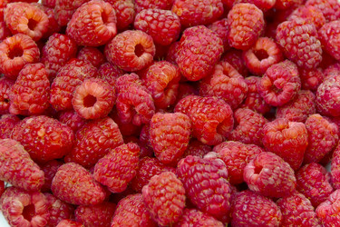 Similar image 10904176