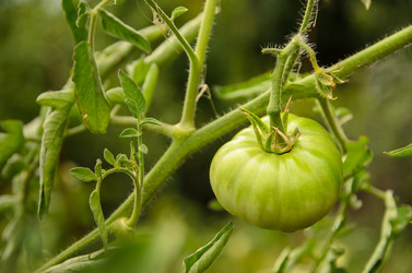 Similar image 10904058