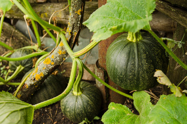 Similar image 10904059