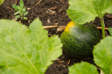 Similar image 10904060