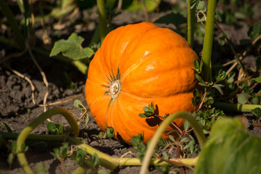 Similar image 10904061