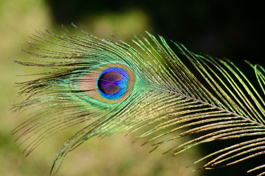 Similar image 10904068