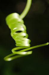 Similar image 10904070