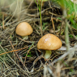 Similar image 10904072