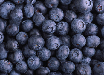 Similar image 10906009