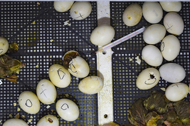 Similar image 10906171