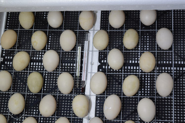 Similar image 10906173