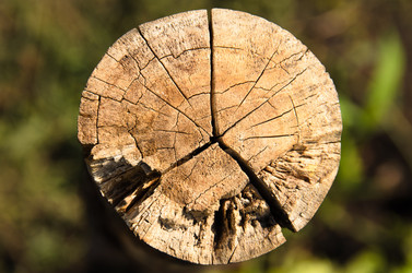 Similar image 10904073