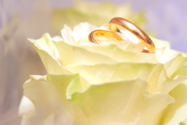 Similar image 10905344