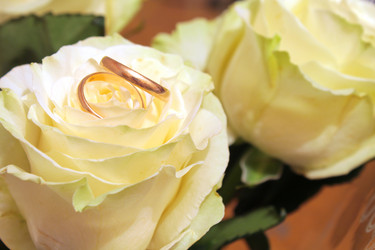 Similar image 10905345