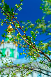 Similar image 10906784