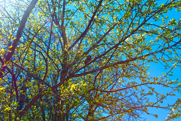 Similar image 10906726