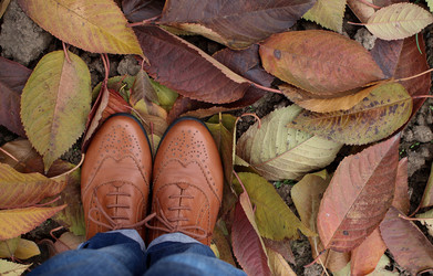 Similar image 10906561