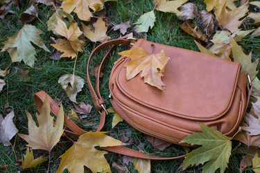 Similar image 10906562