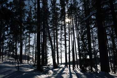 Similar image 10906791