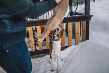 Similar image 10906792