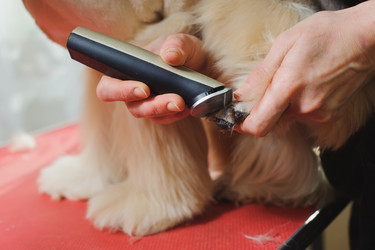 Similar image 10905319