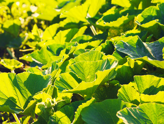 Similar image 10905479