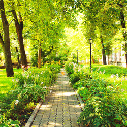 Similar image 10905480