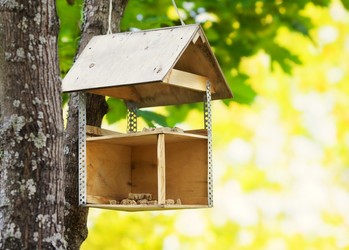 Similar image 10905481