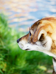 Similar image 10907820