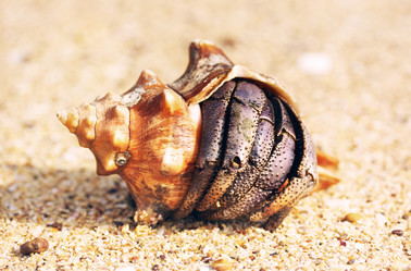 Similar image 10907840